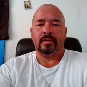 Meet your Posher, Roy